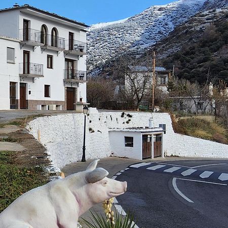Alojamiento Rural Casa Clara La Pescaora Trevélez エクステリア 写真