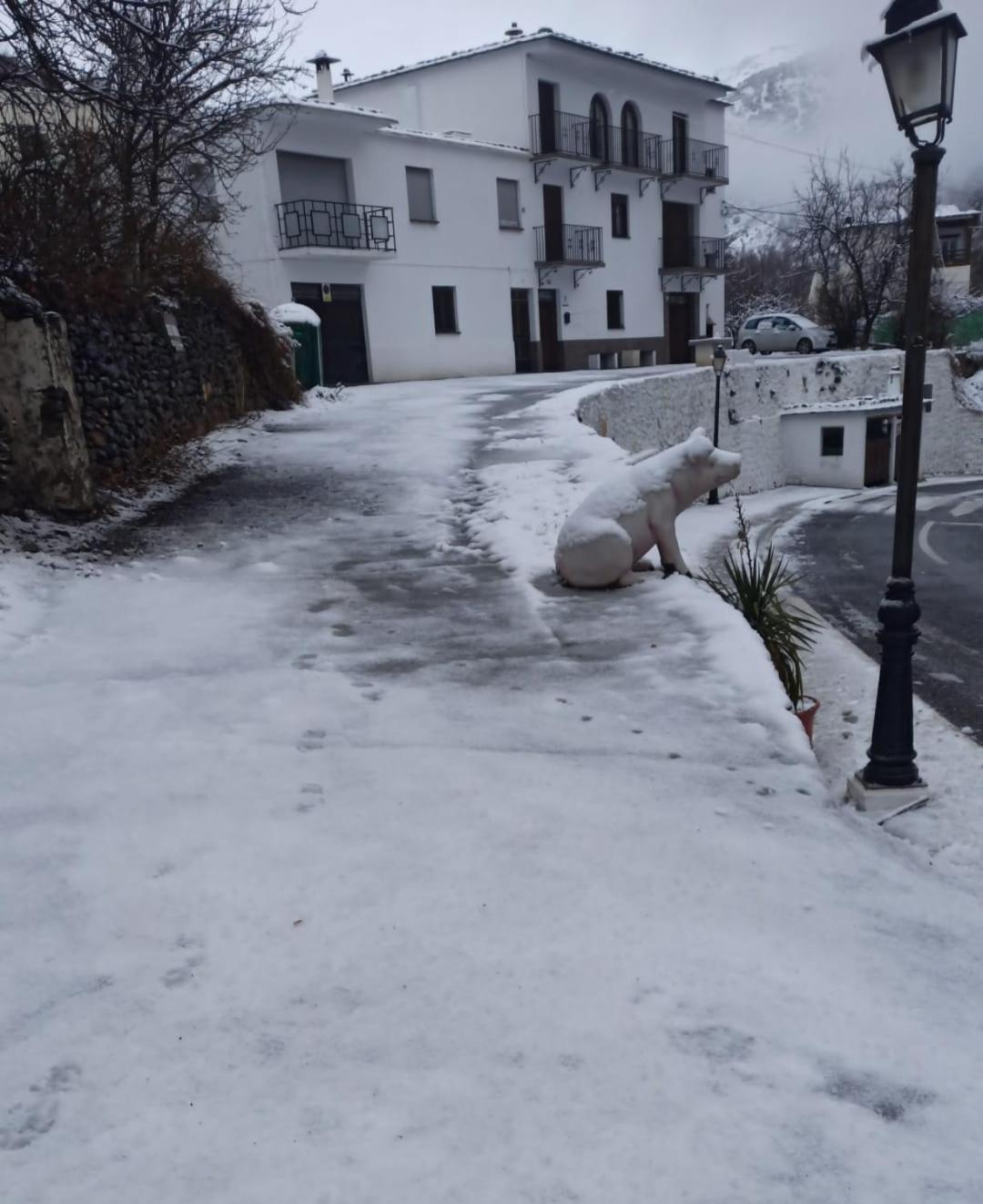Alojamiento Rural Casa Clara La Pescaora Trevélez エクステリア 写真